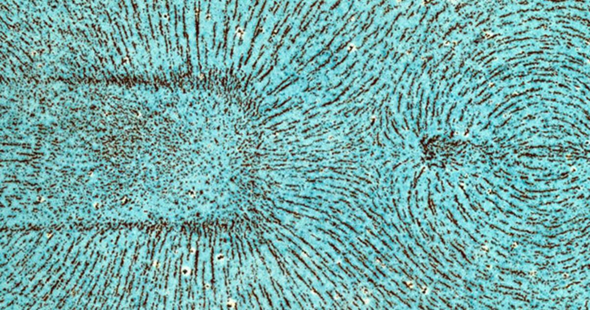 Michael Faraday's iron filings Royal Institution